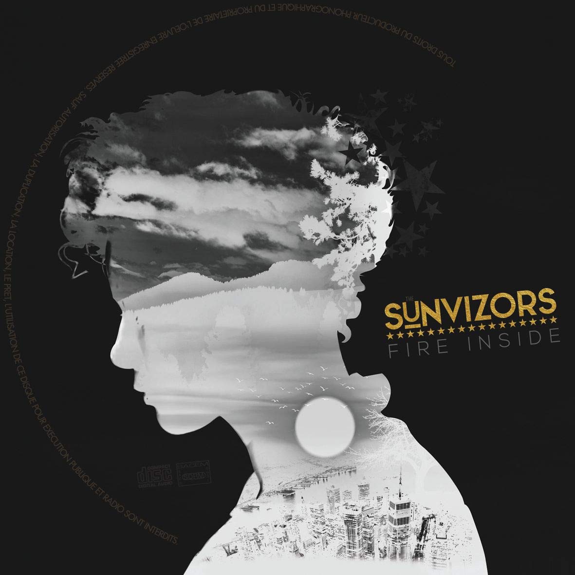 The Sunvizors - Fire Inside (LP)