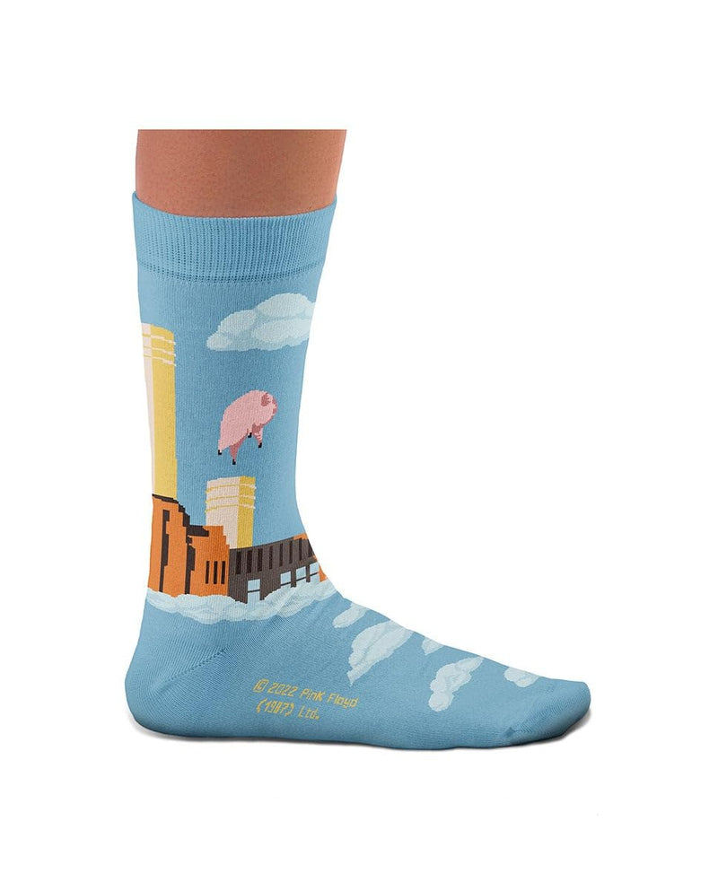 Pink Floyd Animals Socks, 50th Anniversary - Perfect Present for music lovers and fans, Cotton Socks, Only 2 Sizes, 4-7 and 7½-11½