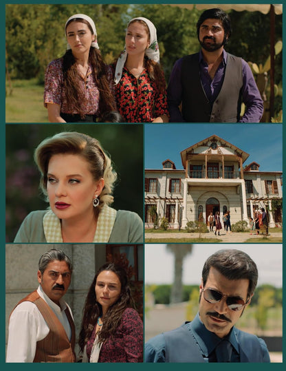 Terra Amara - Stagione 03 #15 (Eps 314-319) - (Italian Import)
