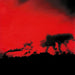 KUROI SHEPHERD EP (REMASTERING)