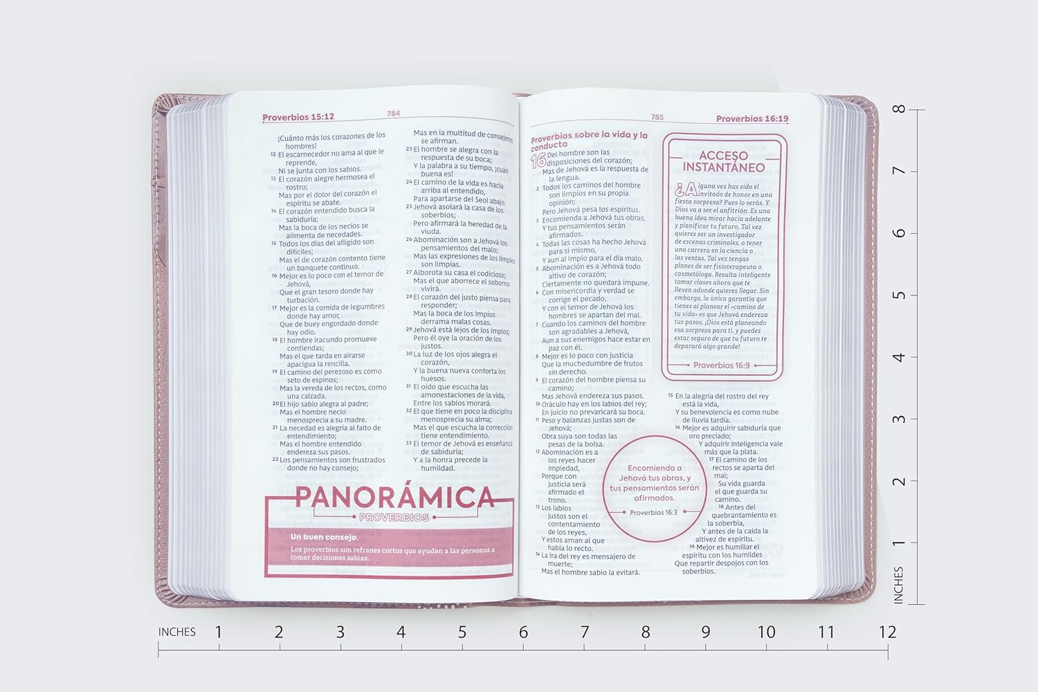 RVR60, Biblia de Estudio para Jóvenes Adolescentes, Leathersoft, Oro Rosa, Palabras de Jesús en Rojo, Comfort Print