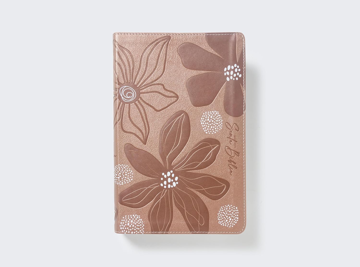 RVR60, Biblia de Estudio para Jóvenes Adolescentes, Leathersoft, Oro Rosa, Palabras de Jesús en Rojo, Comfort Print