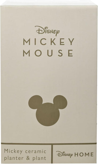 MICKEY - Shapes - Black&White - Planter with Faux