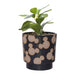 MICKEY - Shapes - Black&White - Planter with Faux