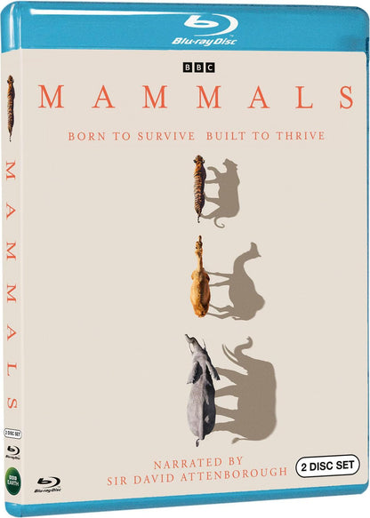 Mammals (Blu-ray