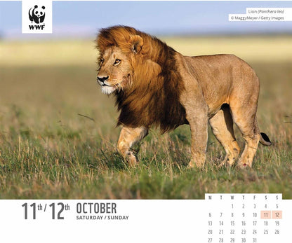 2025 Wwf Natural World Box