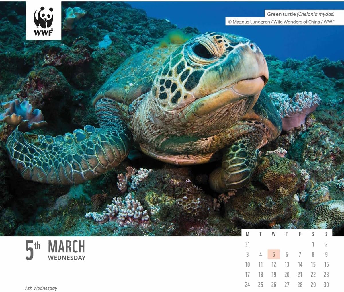 2025 Wwf Natural World Box