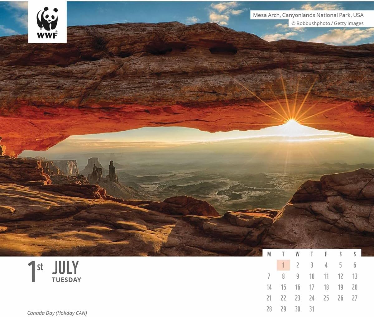 2025 Wwf Natural World Box