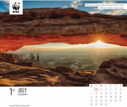 2025 Wwf Natural World Box