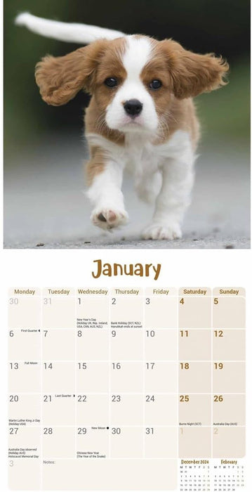 Cavalier King Charles Spaniel Puppies Mini Wall Calendar 2025 (PFP)