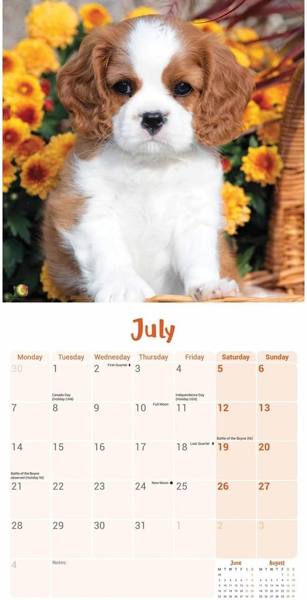 Cavalier King Charles Spaniel Puppies Mini Wall Calendar 2025 (PFP)