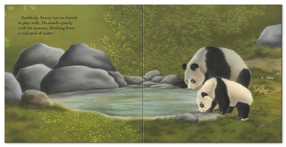 Panda Says, "Sorry " (Square Paperback Storybooks
