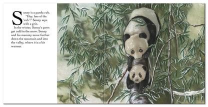 Panda Says, "Sorry " (Square Paperback Storybooks
