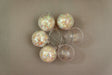 Colorations - Colorations - Vulbaar Ornament Transparante Bal Set van 12