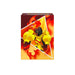 Ultra Pro - Armarouge Full View Deck Box per Pokémon, archiviazione carte Pokémon, supporto Armarouge, scatola premium, opere d'arte a colori