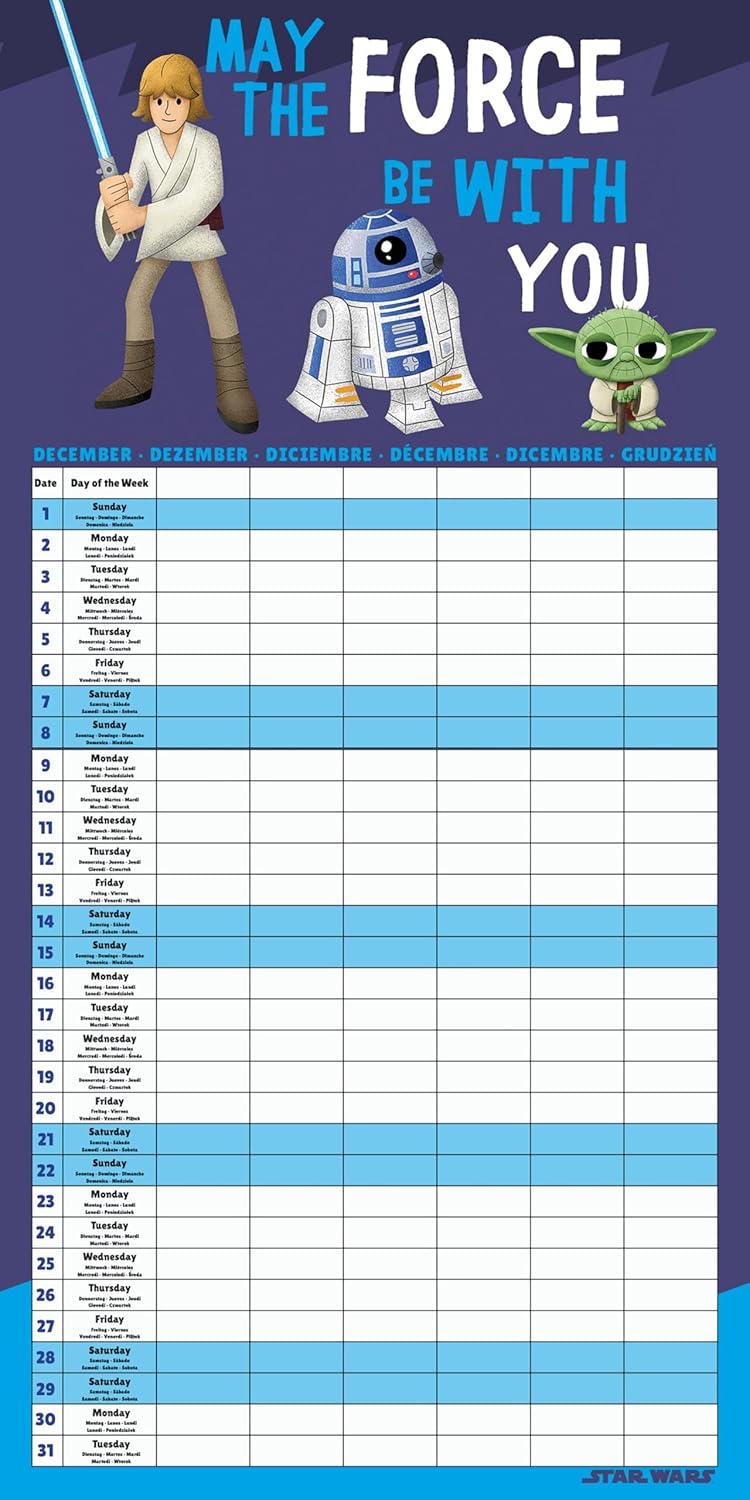 Star Wars (Force) 2025 Family Planner Calendar
