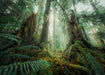 Ravensburger Puzzle 2D 1000 elementów: Lasy, Nowy design