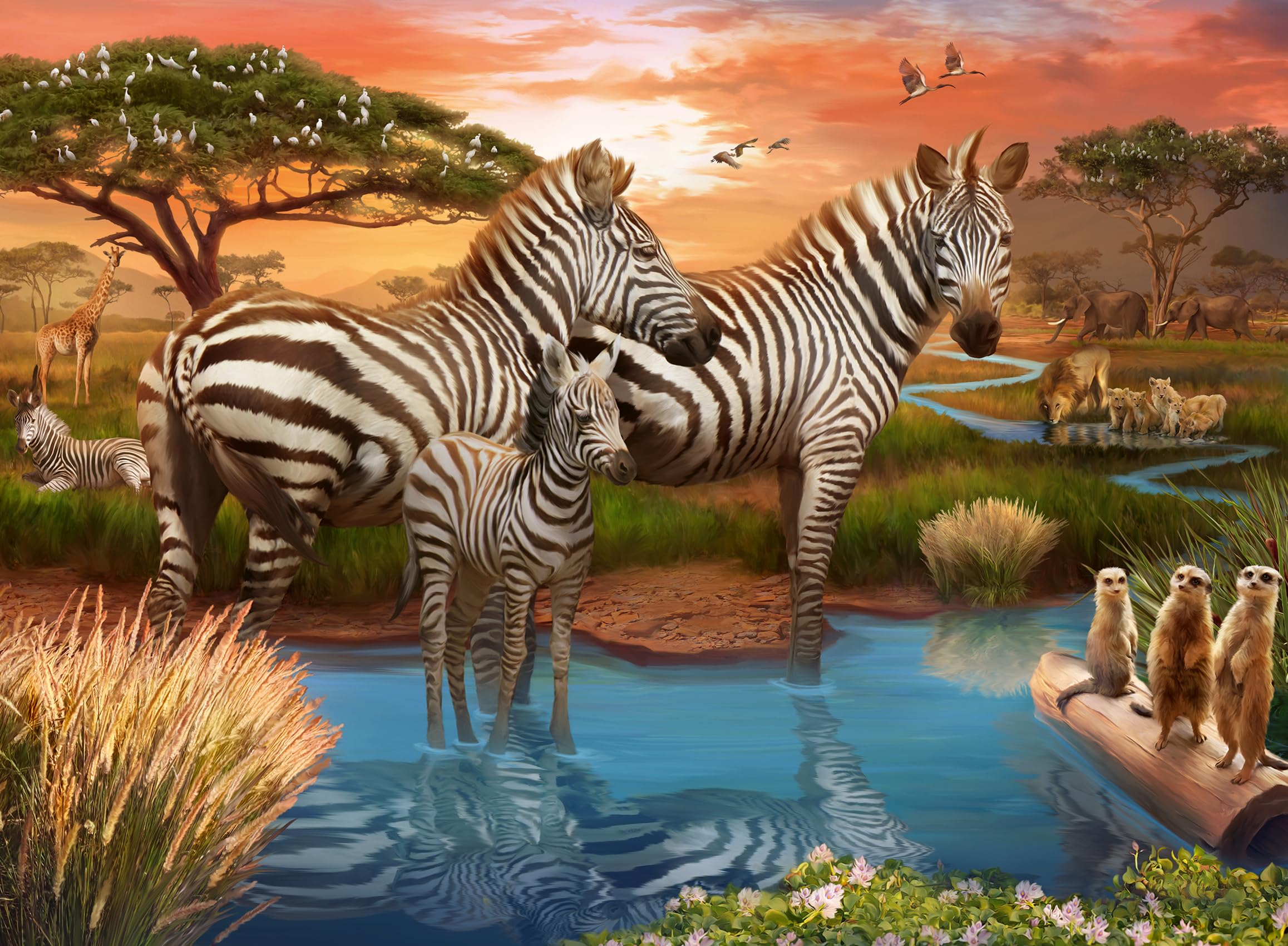 Ravensburger Puzzle 12000365 - Zebras am Wasserloch - 500 Teile Puzzle für Erwachsene und Kinder ab 12 Jahren, Tier-Puzzle
