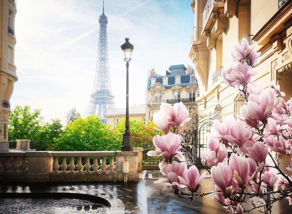 Ravensburger Puzzle 12000366 - Frühling in Paris - 500 Teile Puzzle für Erwachsene und Kinder ab 12 Jahren, Stadt-Puzzle Paris