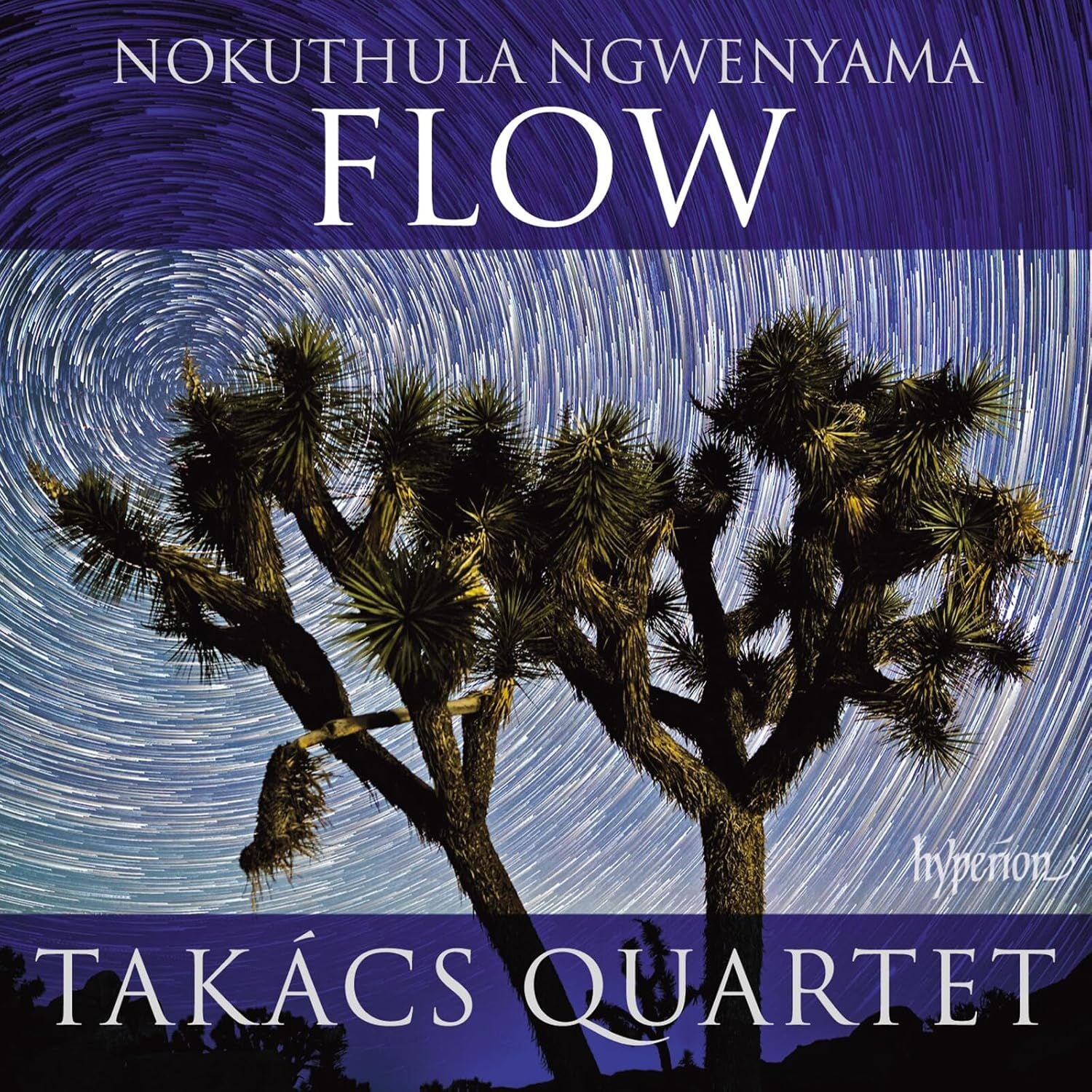 Nokuthula Ngwenyama: Flow