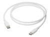 1.2m USB-C to USB-C 100W Cable - White by dbramante1928