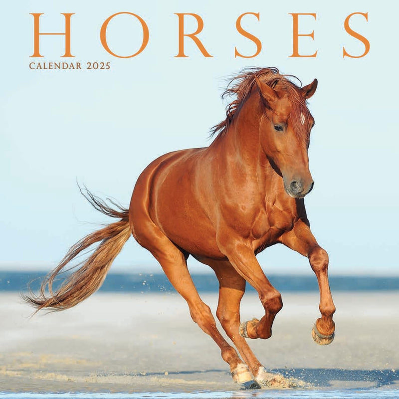 Horses Mini Wall Calendar 2025 (PFP)