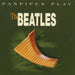 Panpipe Play the Beatles (Panflöte / Panflute)