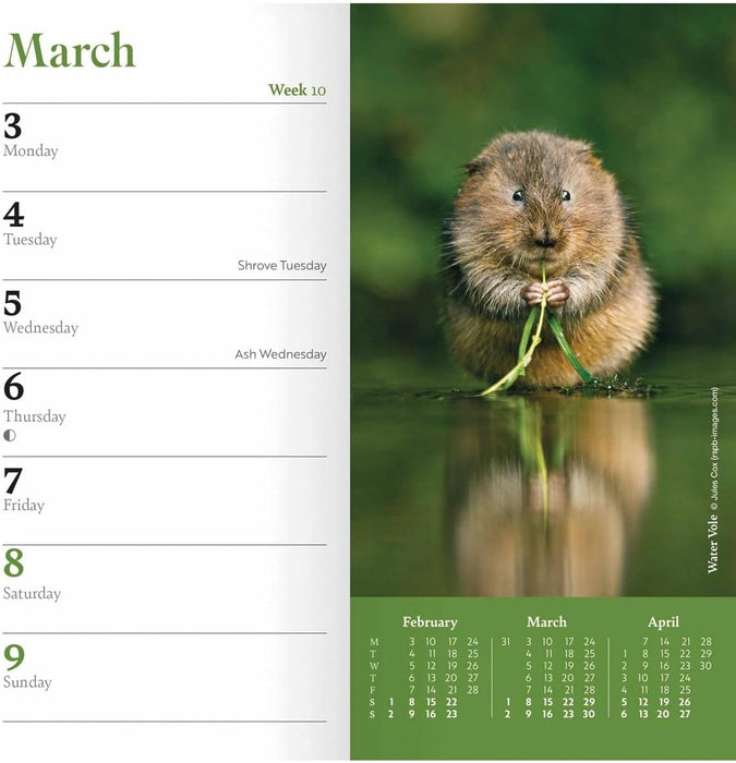 Carousel Calendars RSPB Slim Diary 2025 (PFP)