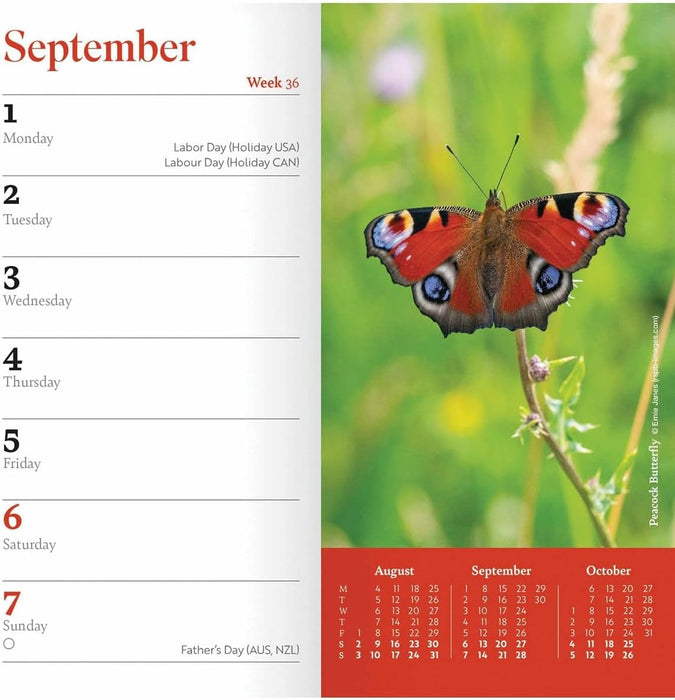 Carousel Calendars RSPB Slim Diary 2025 (PFP)