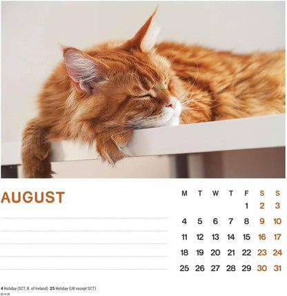 2025 Cat Naps Easel
