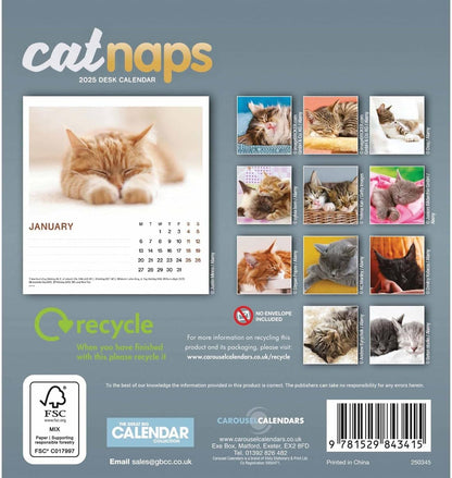 2025 Cat Naps Easel