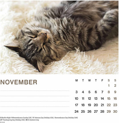 2025 Cat Naps Easel