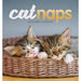2025 Cat Naps Easel