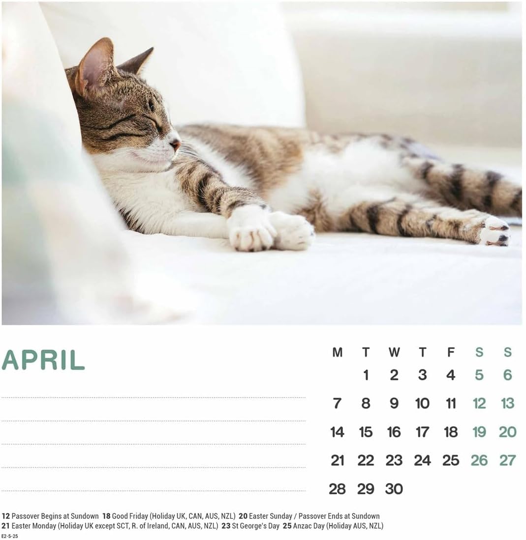 2025 Cat Naps Easel