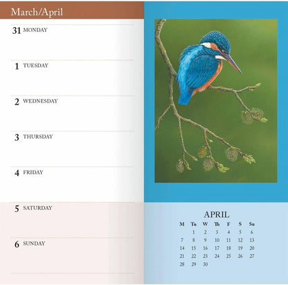 Carousel Calendars British Wildlife in Art by Robert Fuller Slim Diary 2025 (PFP)