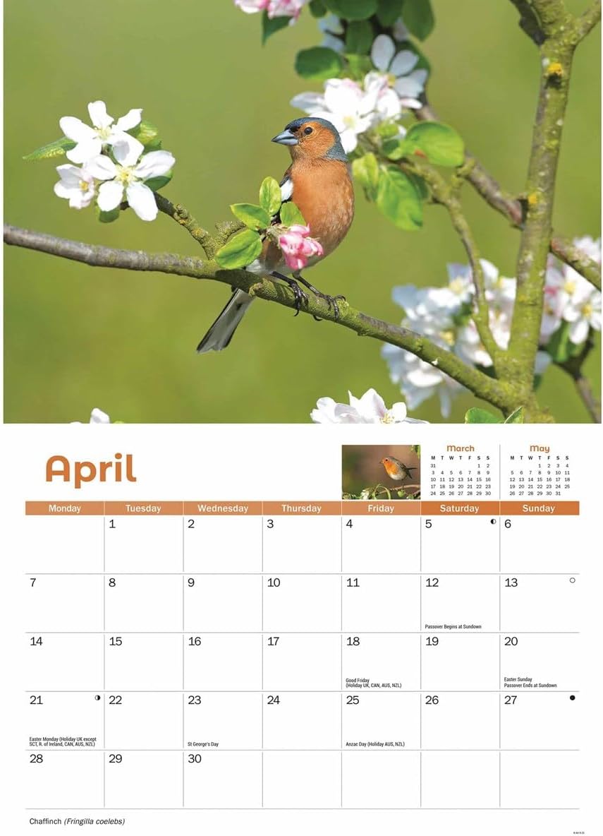 Garden Birds A4 Calendar 2025 (PFP)