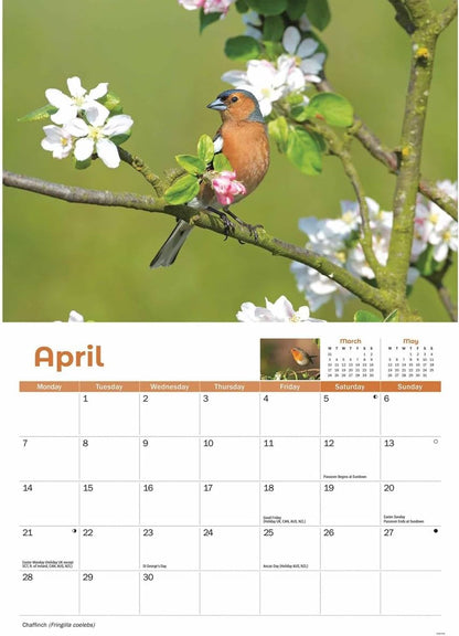 Garden Birds A4 Calendar 2025 (PFP)