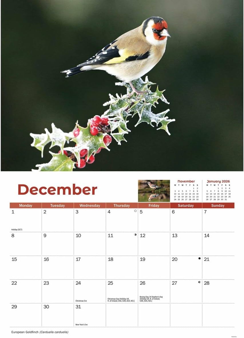 Garden Birds A4 Calendar 2025 (PFP)