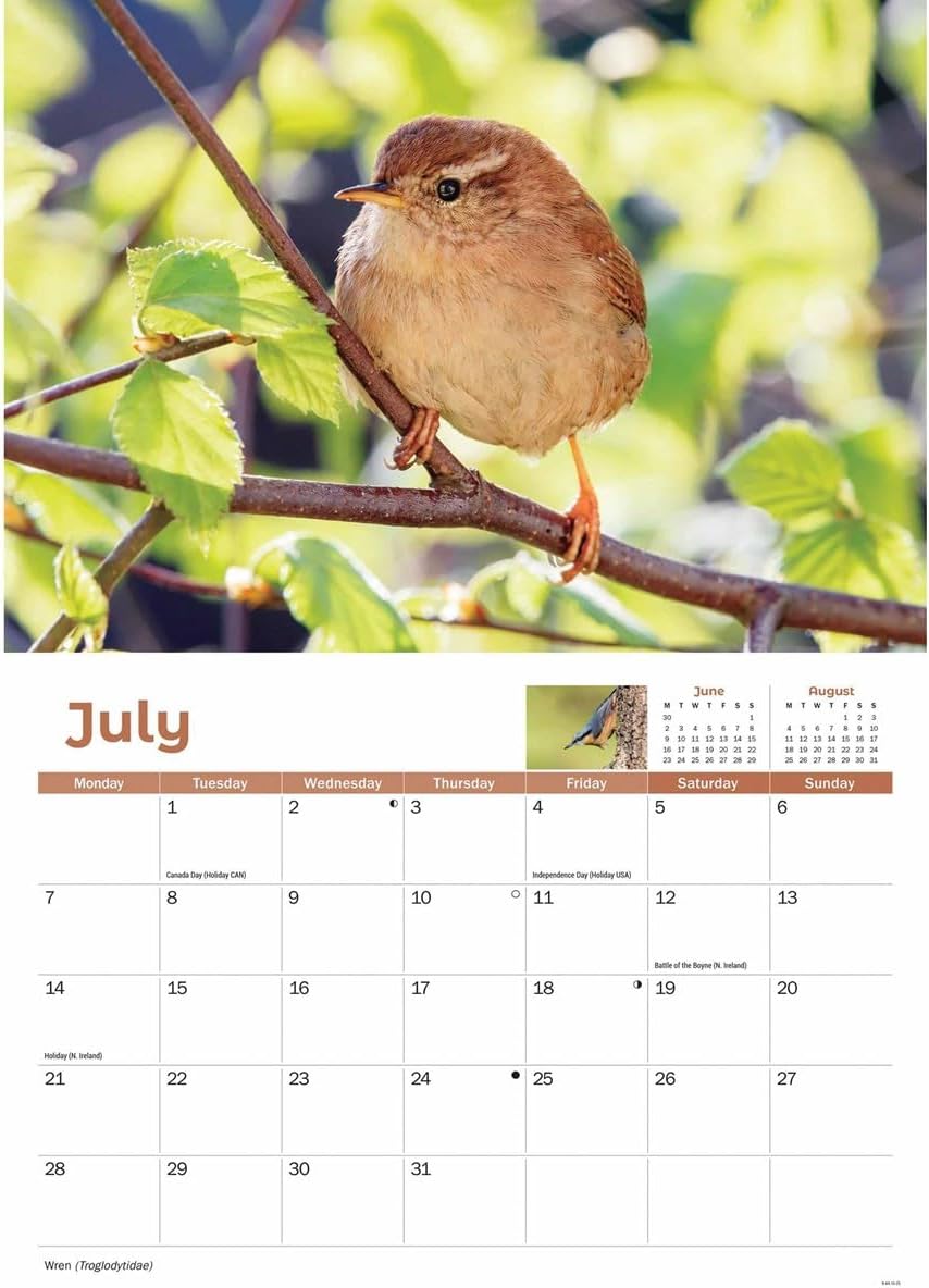 Garden Birds A4 Calendar 2025 (PFP)