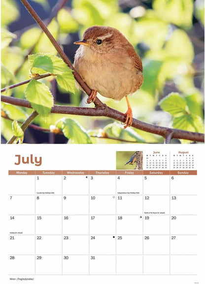 Garden Birds A4 Calendar 2025 (PFP)