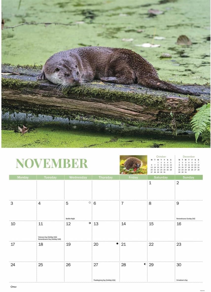 Wildlife of Britain A4 Calendar 2025 (PFP)