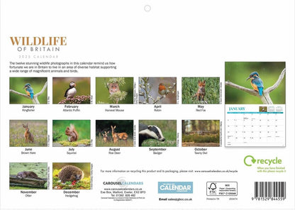 Wildlife of Britain A4 Calendar 2025 (PFP)