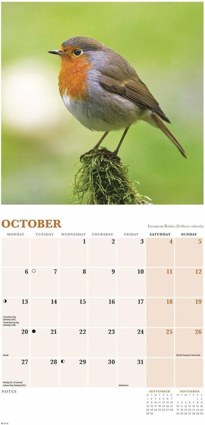 British Garden Birds Mini Wall Calendar 2025 (PFP)