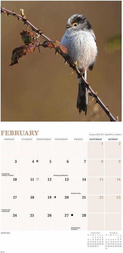 British Garden Birds Mini Wall Calendar 2025 (PFP)