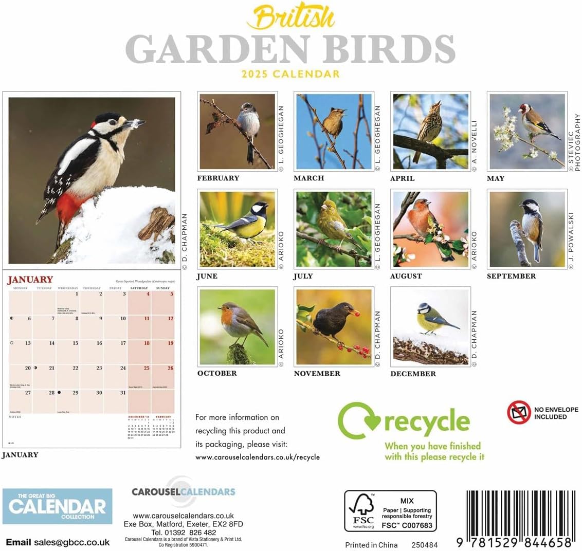 British Garden Birds Mini Wall Calendar 2025 (PFP)