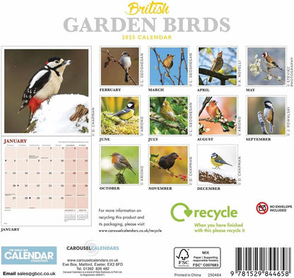British Garden Birds Mini Wall Calendar 2025 (PFP)
