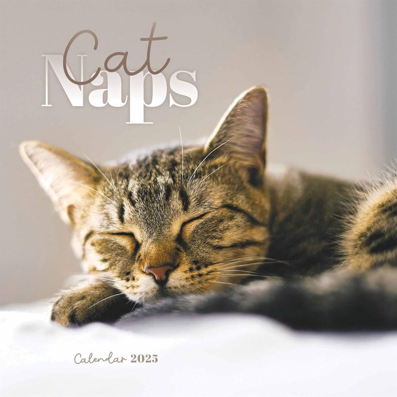 2025 Cat Naps Mini