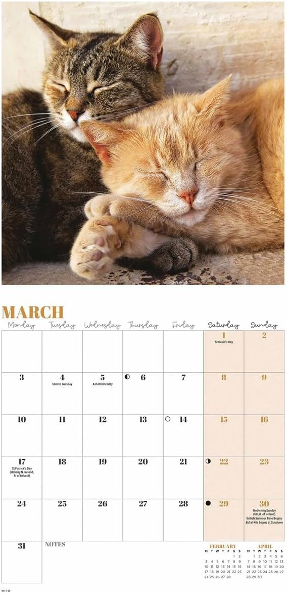 2025 Cat Naps Mini