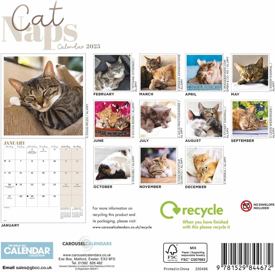 2025 Cat Naps Mini
