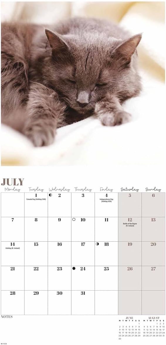 2025 Cat Naps Mini